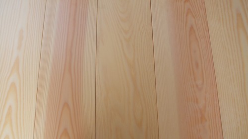 �н��־�����̵������ʪ�ե�����󥰣�