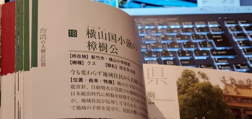 ���������ɣ�