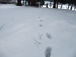 ½ÐÄ¥¤Ë¤Æ£¶