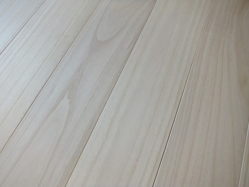 �͡ʥ���������९����ʪ�ե�����󥰣�