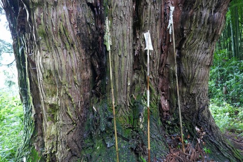 ���Ĥ����������