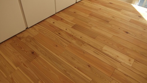 ԥ奢顼TENKARA˥ͥåɥ졼ɣ