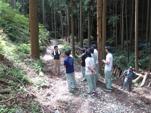 ��带��������