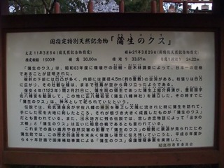 ³÷À¸¤ÎÂ祯¥¹¡¡£±