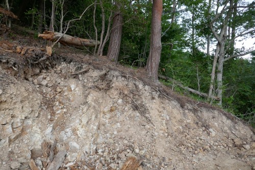 ���ξ��֣�