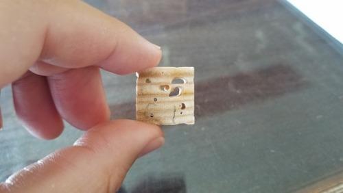¥¯¥ê¡¡30