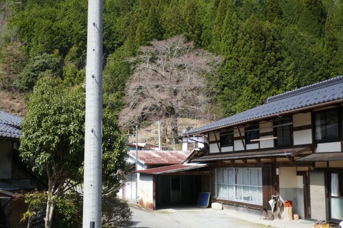 ���奶���� 10