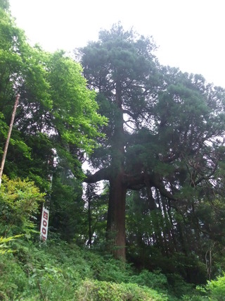 �Ҥ�����������