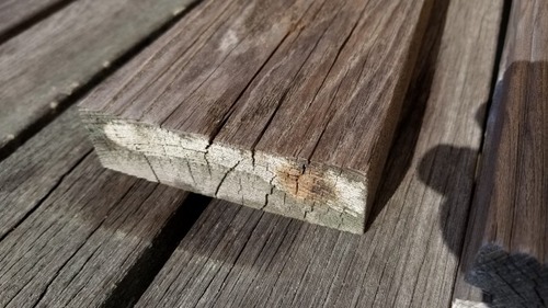 £²Ç¯¸å¡¡£²