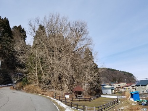 �̶�����Υ����祦��