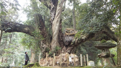 ��¿���������ܰ�Υ�������������