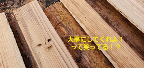 ���ڻԻ��ม�ʣ�