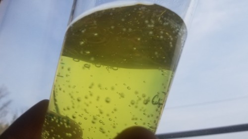 ¥¥Ï¥À¤Î¥µ¥¤¥À¡¼£²