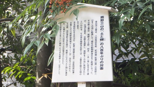 ナギ 3