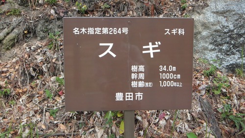 Ʋ���Υ�������ǯ���ˡ�2