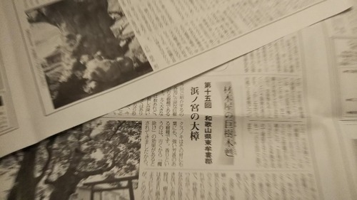 戸田昌志が寄稿する巨樹の記事