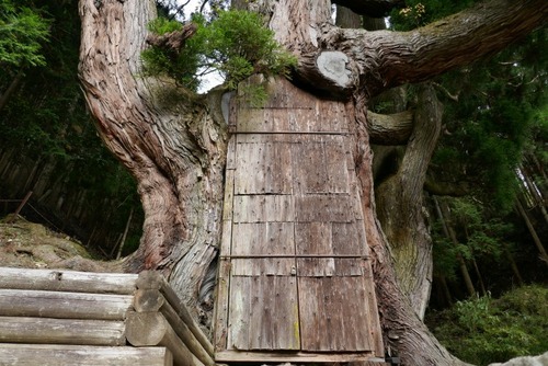 ʼ�˸�ī��� �羭��������