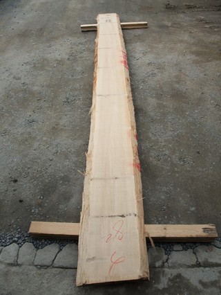 ����̵������ ����