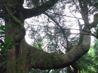 �Ҥ�������������