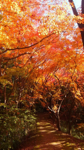 ͼ�Ȥ�ߤ�����