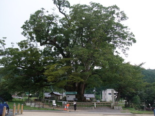 ��֤��礱�䤭����