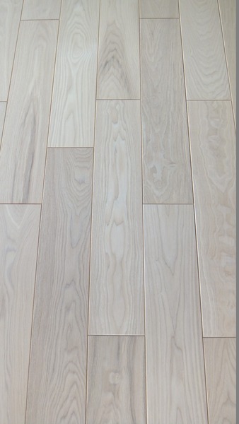 À¶Î俤â¡Ê¤»¤¤¤ê¤ç¤¦¤¿¤â¡ËÉý¹Ìµ¹¤°ìËçʪ¥Õ¥í¡¼¥ê¥ó¥°£´