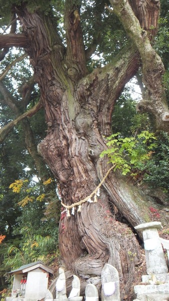 Ʋ���Υ�������ǯ���ˡ�7