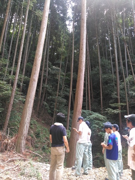 ��带��������