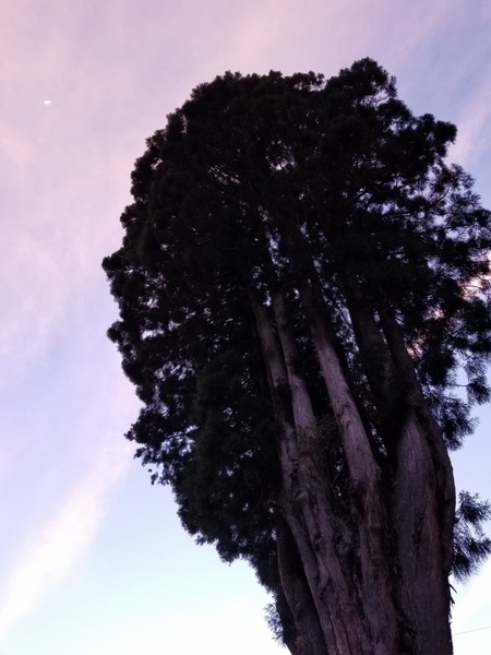 µÈÂô¤ÎÅĹâ¿ù£¶