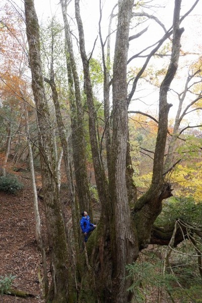 ���������祫�ĥ�