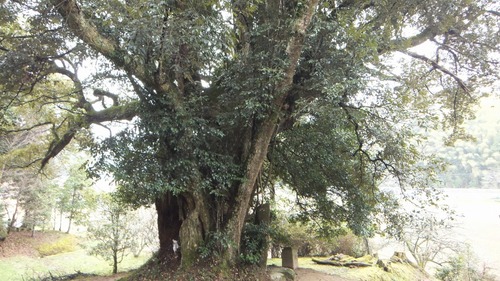 ��¿�����һ�ƻ�Υ�������