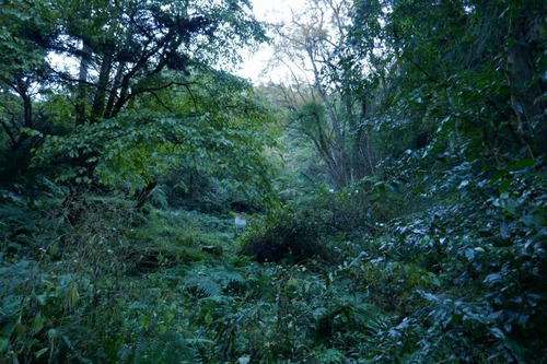 ���Ĥ��礫�Ĥ飲