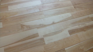 ¥ê¥Õ¥ê¡¼¥Ð¡¼¥Á¡¡£µ