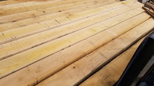 �պ����������