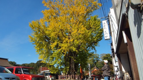 ������Ҥ��祤���祦�ȱ��ζ�ɡ���