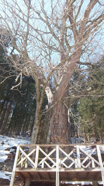 ����Υȥ�������