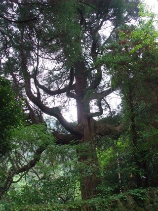 �Ҥ�������������