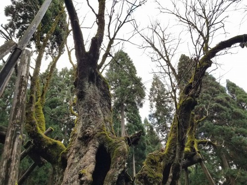 ���Ĥ���ȥ�2