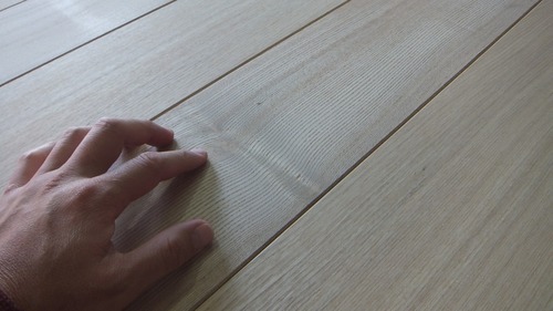 ���ä���ʤ�����礦�������������̵������ʪ�ե�����󥰣�