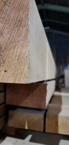 ���ץ롼��570�С���