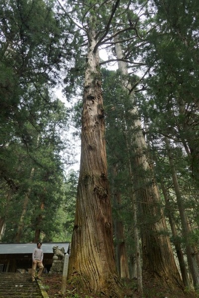 ¹Å縩¾±¸¶»Ô ·§Ìî¿À¼Ò¤ÎÏ·¿ù¡Ê¤í¤¦¤µ¤ó¡Ë¤È¿ùÂç¼ù·²8