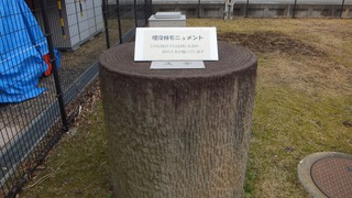 三瓶埋没林公園 13