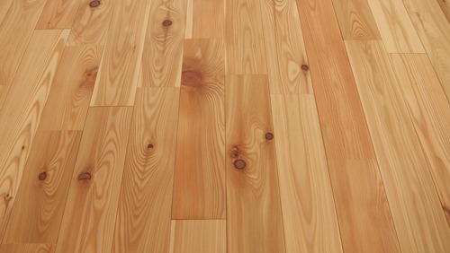 ԥ奢顼TENKARA˥ͥåɥ졼ɣ