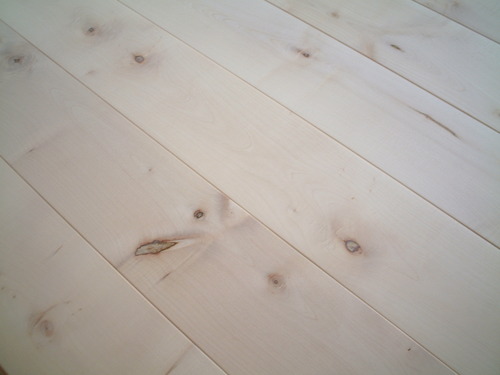 �衼���ԥ���᡼�ץ���������ʪ��ͭ������