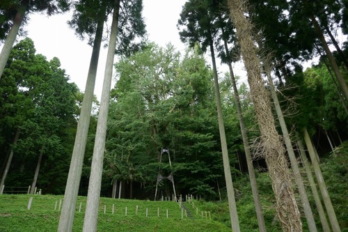 ������Υ����祦����