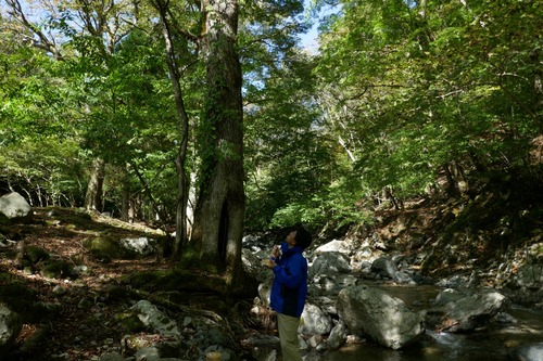 ��ë��ŷ���ӣ�