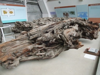 ËäË×ÎÓÇîʪ´Û£¹