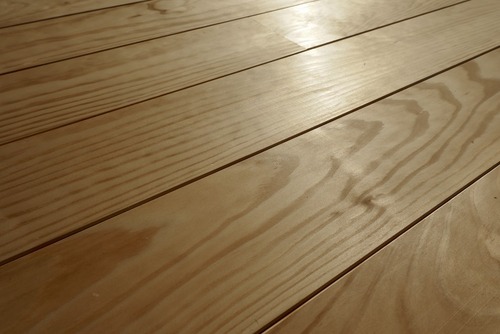 ����̵������ʪ�ե�����󥰻ܹ���