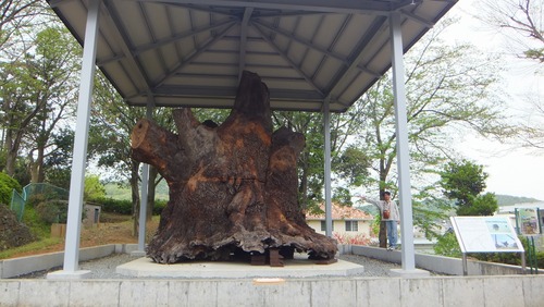 ��������������