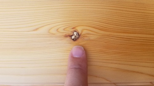 �����ʥ�̵������ʪ�����ܱ����ģ�